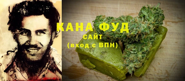 мдпв Абаза